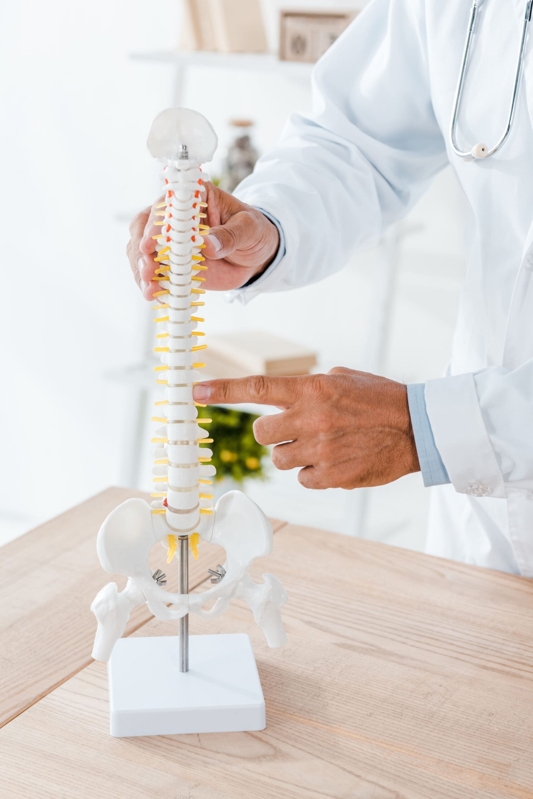 cropped view of doctor in white coat pointing with finger at spine model